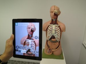 A tablet with an augmented reality function is shown. There is a real torso with the anatomic terms written on the tablet.  